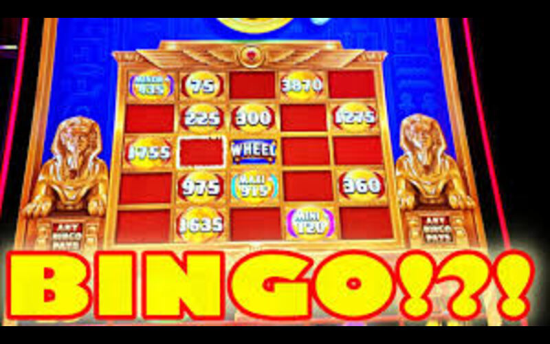 bingo and slots​ body image