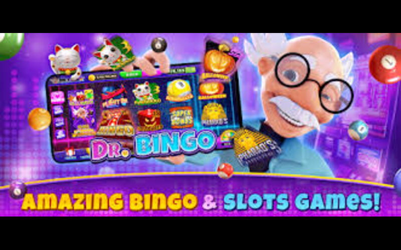 bingo and slots​ featured image